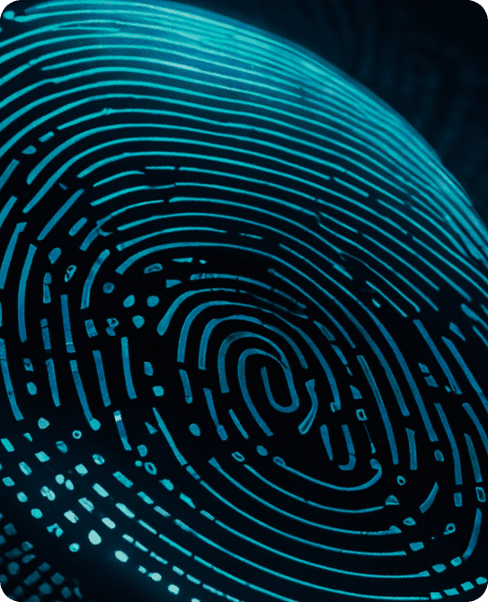 Fingerprint De-Duplication